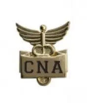 CNA Lapel Pin